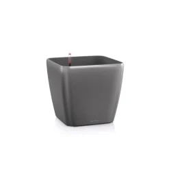 Lechuza Vaso Quadro Premium 21 Set Completo