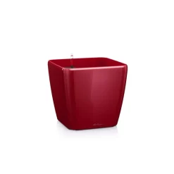 Lechuza Vaso Quadro Premium 35 Set Completo